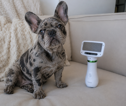 Secador Peine para Mascotas 2 en 1 MAGICFUR REMOVER™